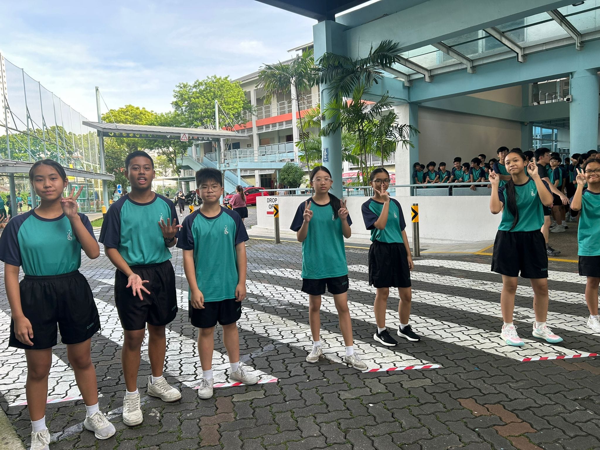 seven students line up at a zebra crossing